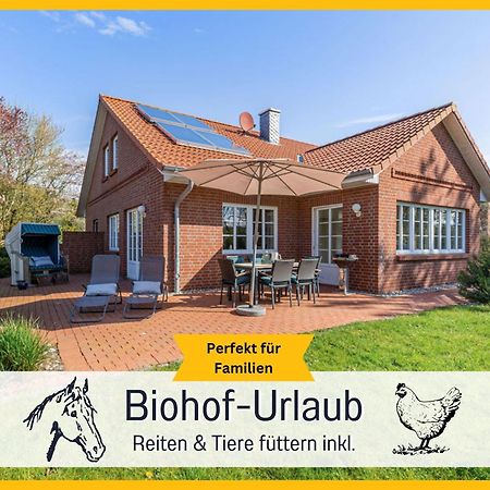 Bio Ferienhof Wichtelweide - Ferienhaus Lichtblick Fehmarn Exterior foto
